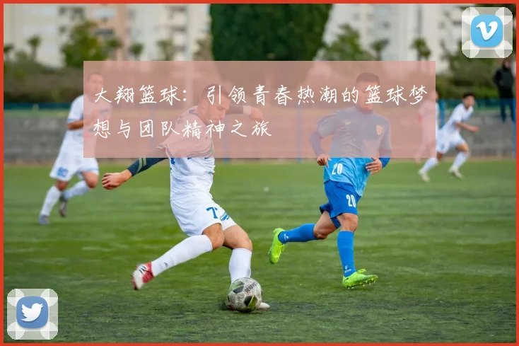 大翔篮球：引领青春热潮的篮球梦想与团队精神之旅