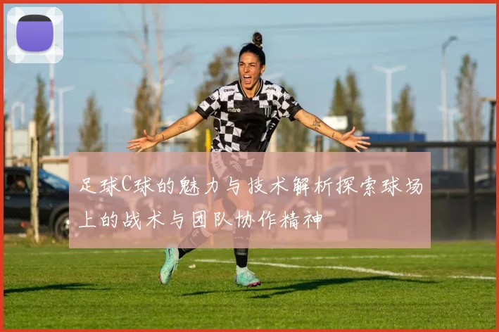 足球C球的魅力与技术解析探索球场上的战术与团队协作精神