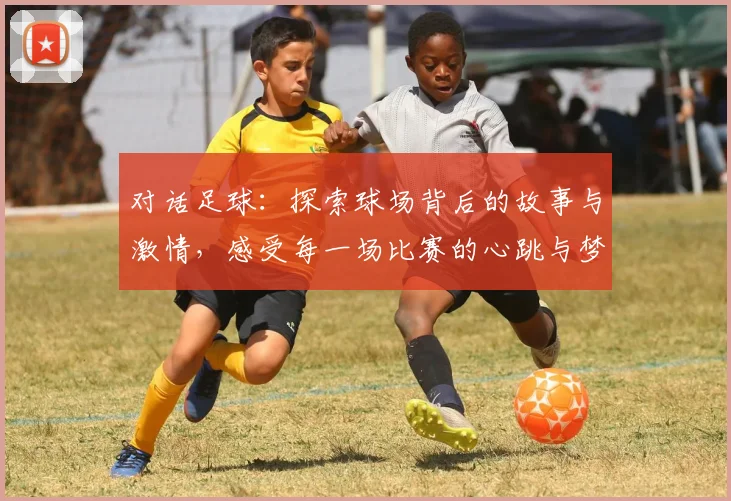 对话足球：探索球场背后的故事与激情，感受每一场比赛的心跳与梦想