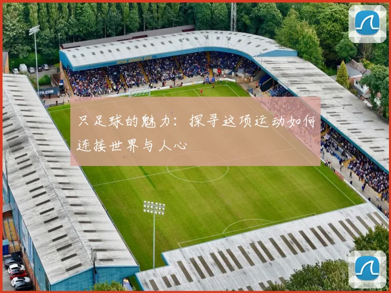 只足球的魅力：探寻这项运动如何连接世界与人心