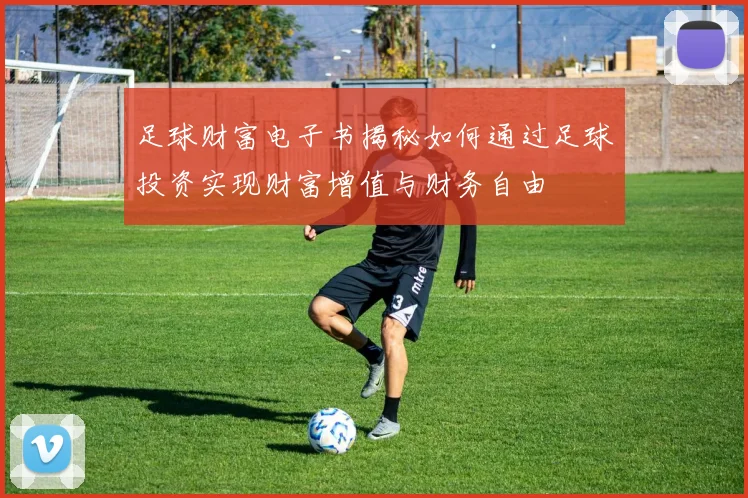 足球财富电子书揭秘如何通过足球投资实现财富增值与财务自由